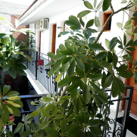 העיירה סקיאתוס Mimoza Studios מראה חיצוני תמונה