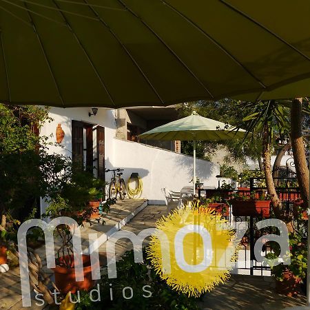 העיירה סקיאתוס Mimoza Studios מראה חיצוני תמונה