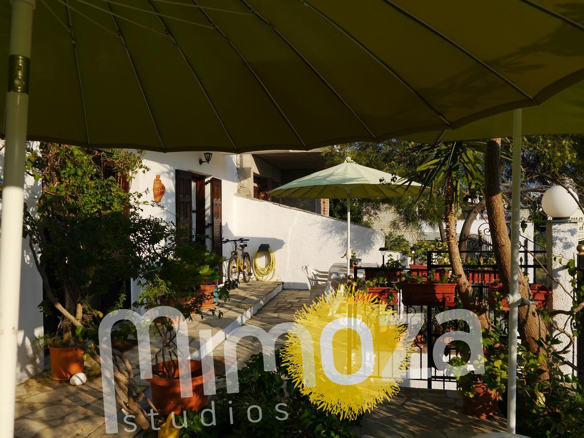 העיירה סקיאתוס Mimoza Studios מראה חיצוני תמונה